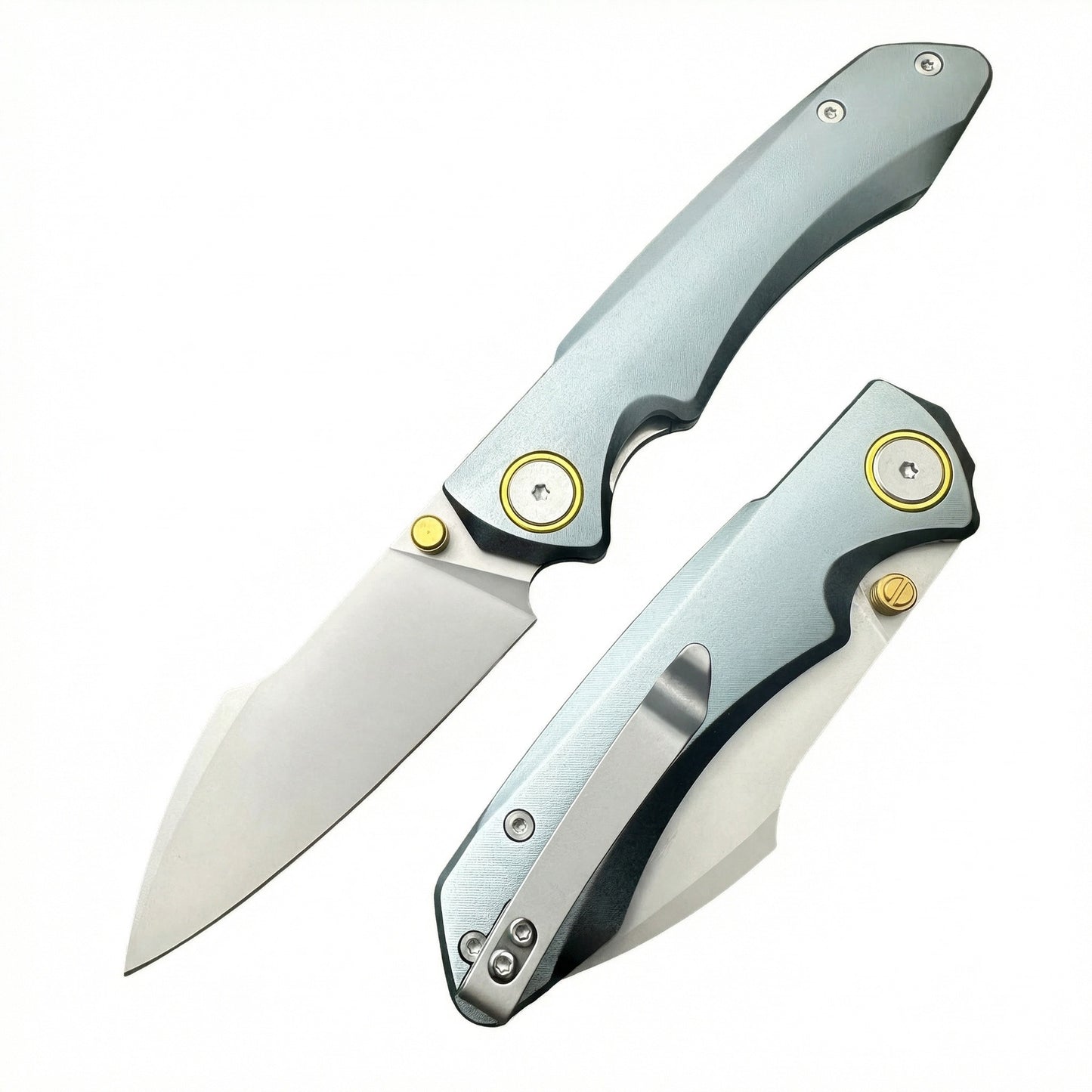 The Raptor Claw - (DJ-40)